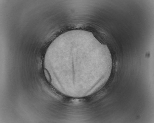 X0000112100558200909151202