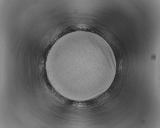 X0000112100559200909151202