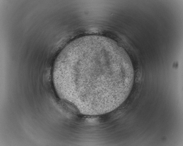 X0000112100560200909151202