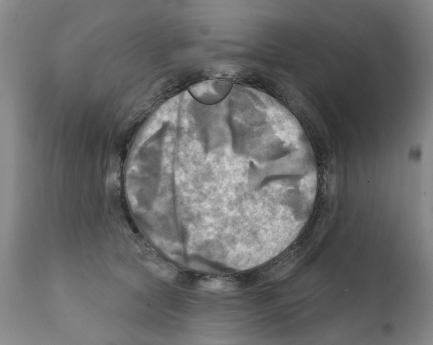 X0000112100561200909151202