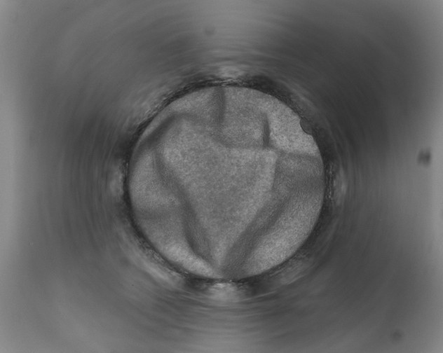 X0000112100562200909151202
