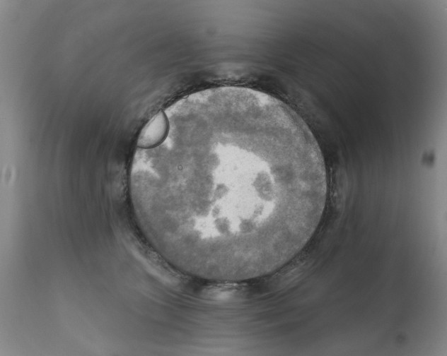 X0000112100563200909151202