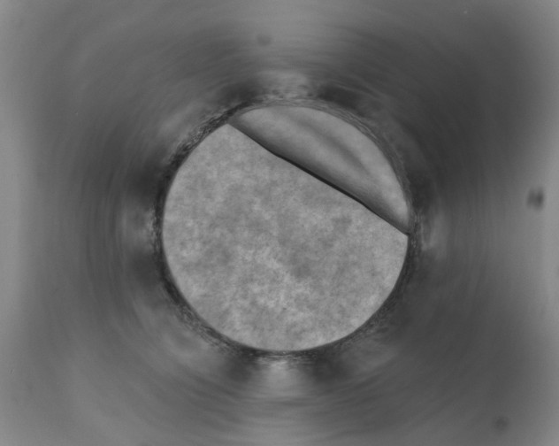 X0000112100564200909151202