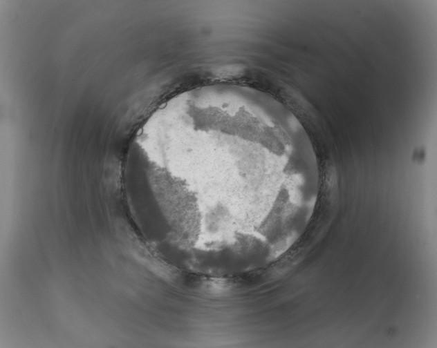 X0000112100565200909151202