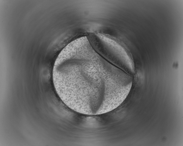 X0000112100566200909151202