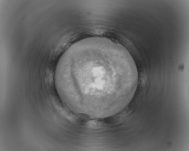 X0000112100568200909151202