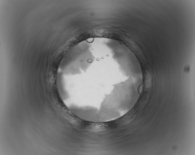 X0000112100569200909151202