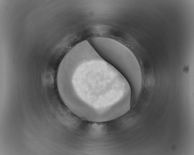 X0000112100570200909151203
