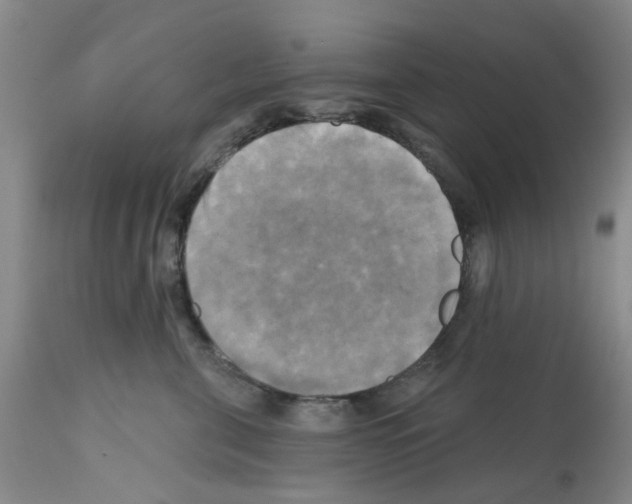 X0000112100571200909151203