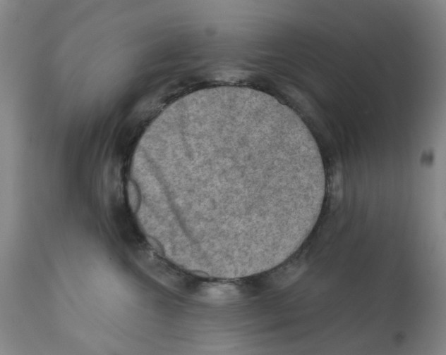 X0000112100572200909151203