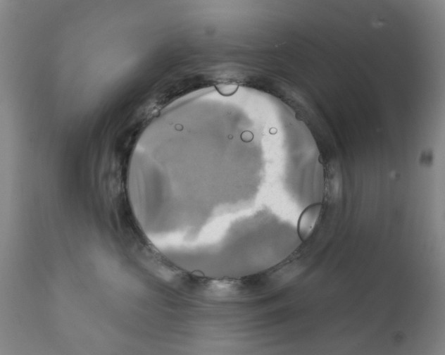 X0000112100573200909151203