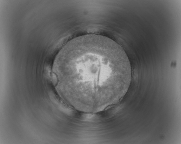 X0000112100575200909151203