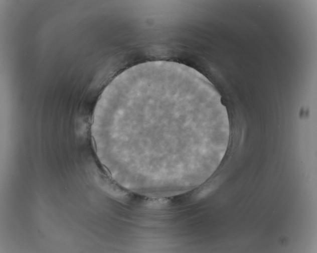 X0000112100576200909151203
