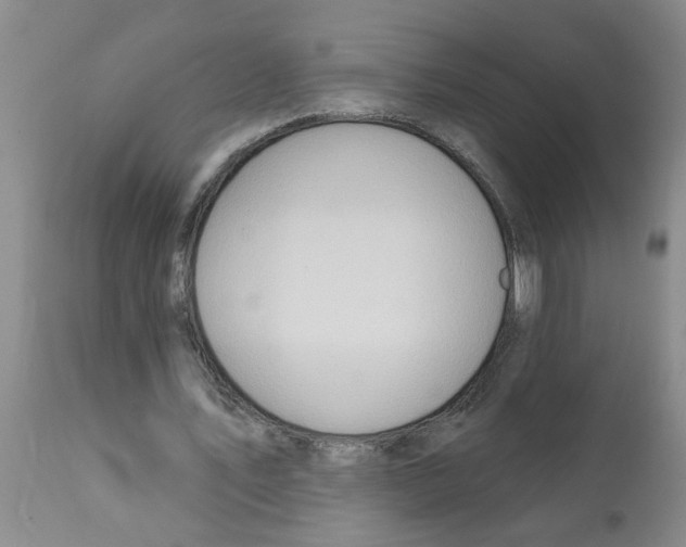 X0000112100579200909151202