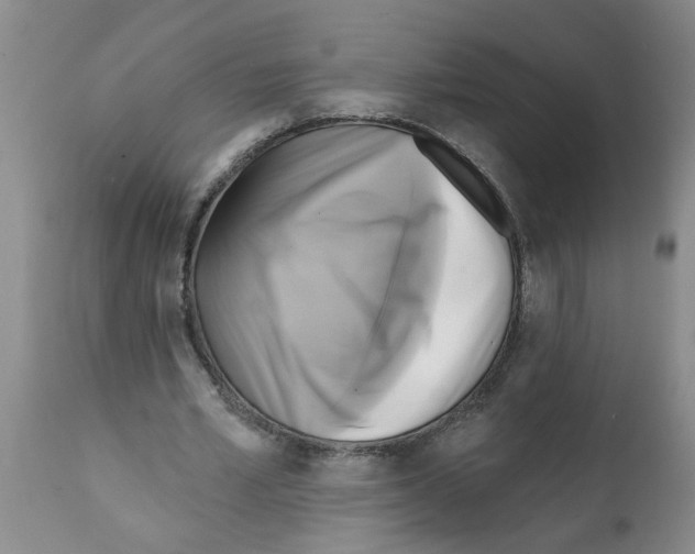 X0000112100581200909151202
