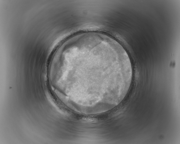 X0000112100582200909151202