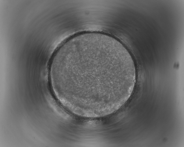 X0000112100584200909151202