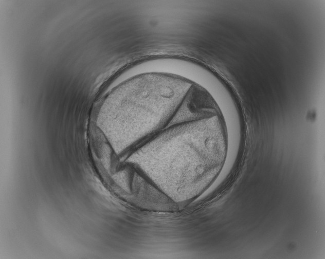 X0000112100585200909151202
