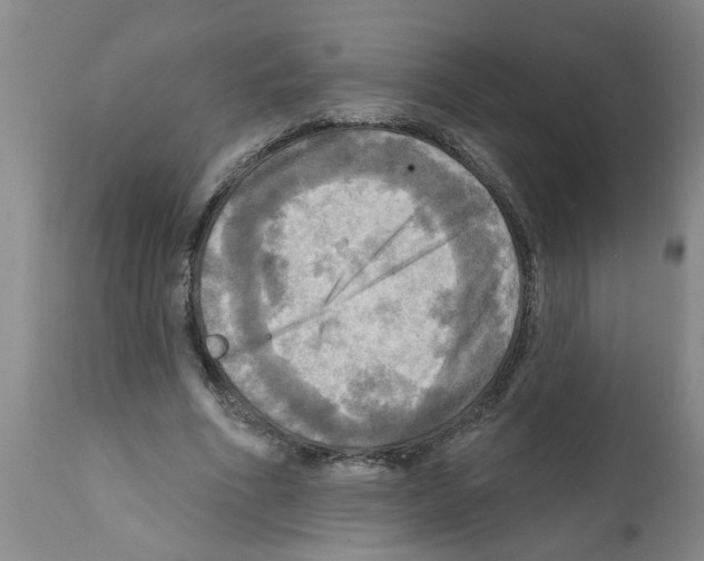 X0000112100586200909151202