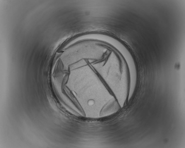 X0000112100587200909151202