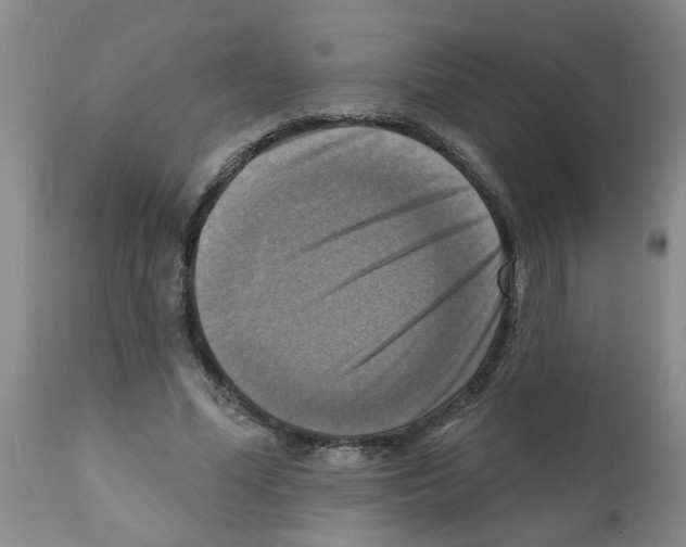 X0000112100588200909151202