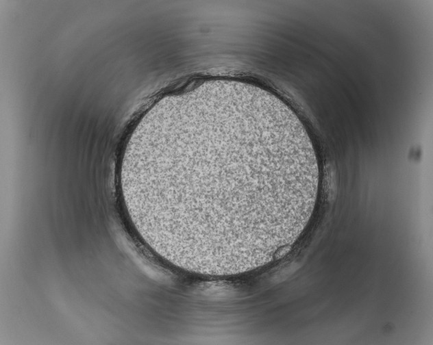 X0000112100589200909151202