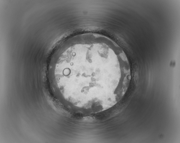 X0000112100591200909151202