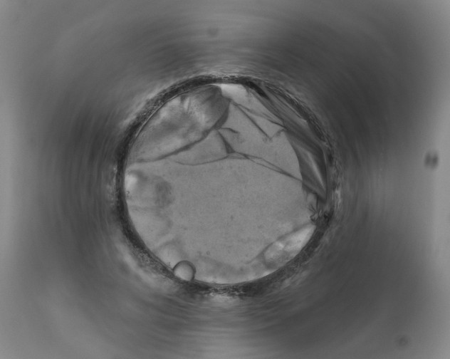 X0000112100592200909151202