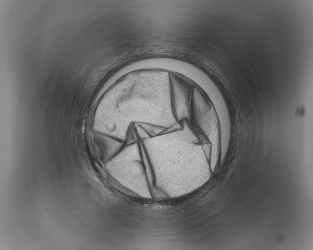 X0000112100593200909151202