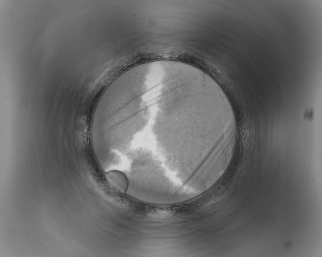 X0000112100594200909151202