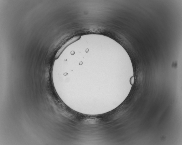 X0000112100595200909151202