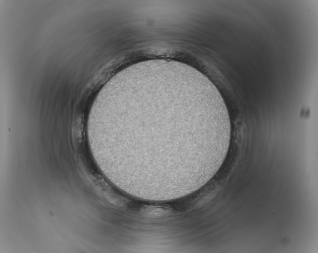 X0000112100597200909151202