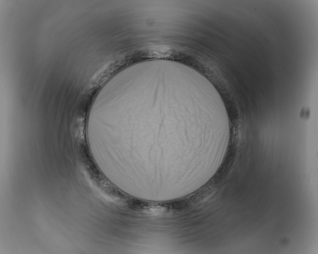 X0000112100598200909151202
