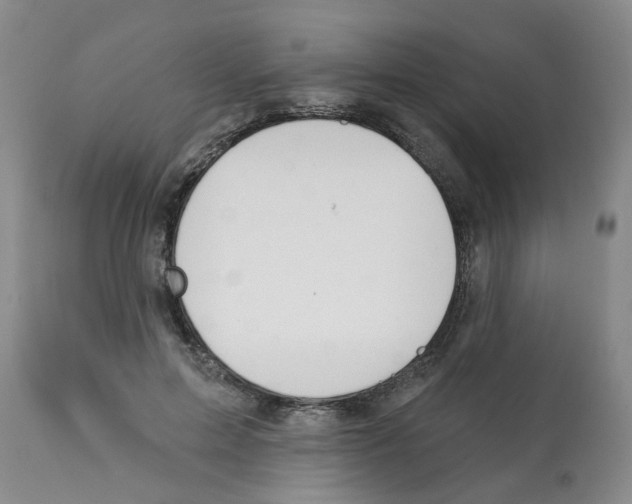 X0000112100599200909151202