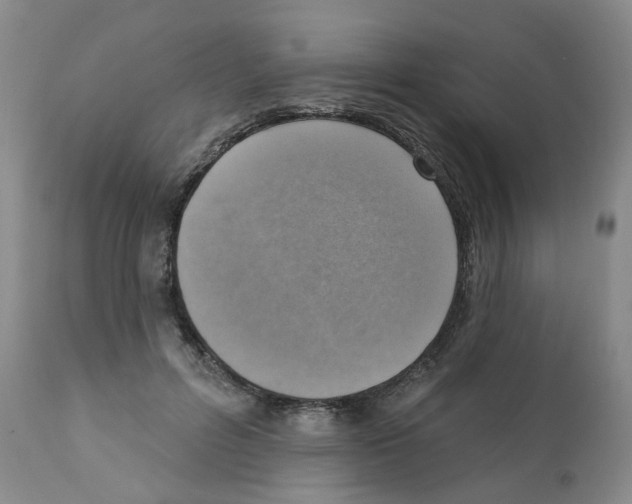 X0000112100600200909151202