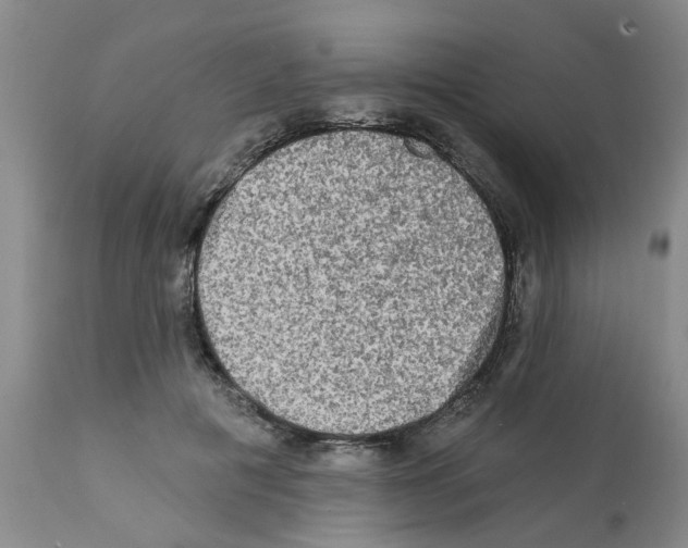 X0000112100601200909151202
