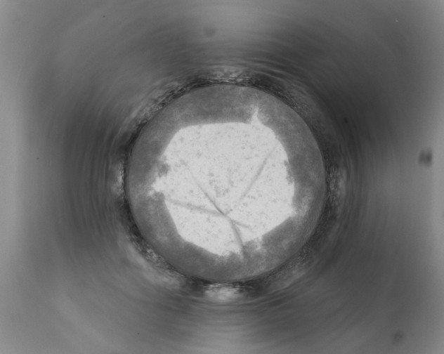 X0000112100602200909151201