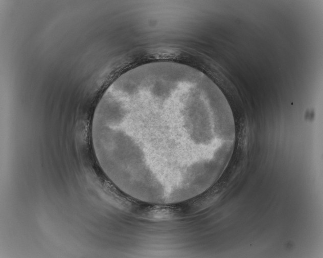 X0000112100604200909151201
