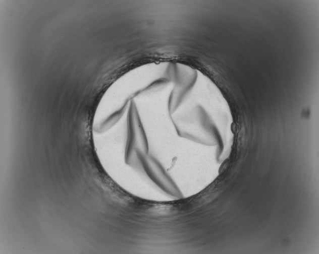 X0000112100609200909151201