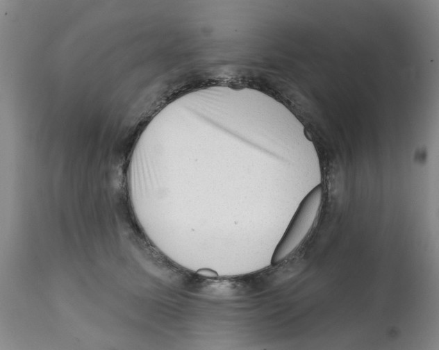 X0000112100611200909151201