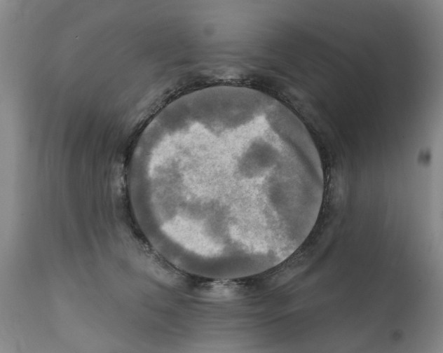 X0000112100612200909151201