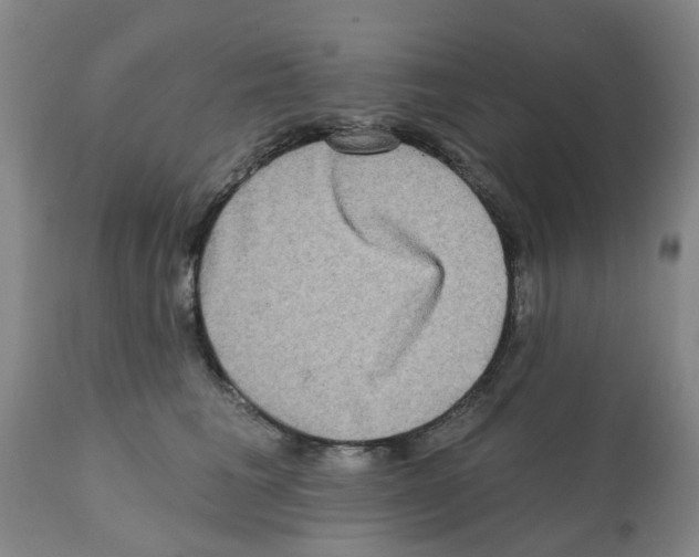 X0000112100613200909151201