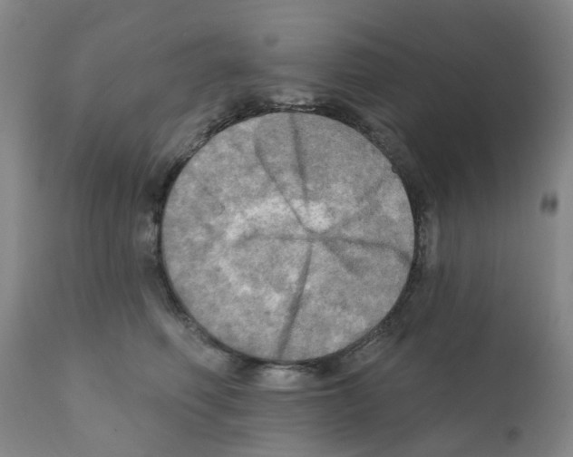 X0000112100614200909151201