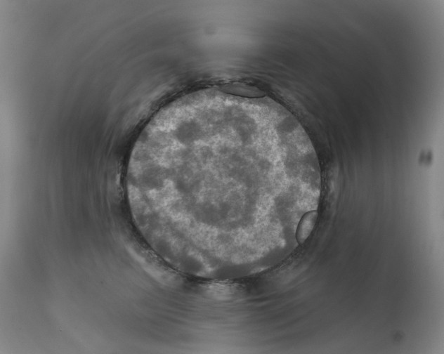 X0000112100615200909151201