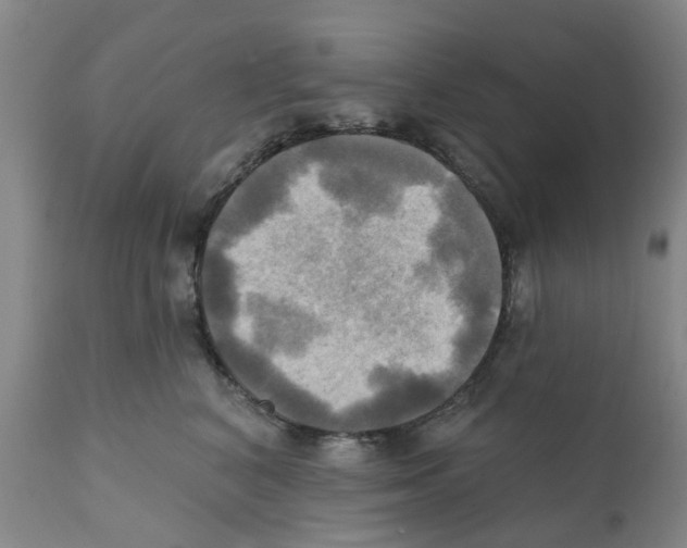 X0000112100616200909151201