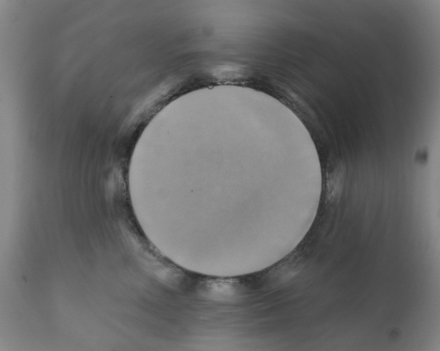 X0000112100618200909151201