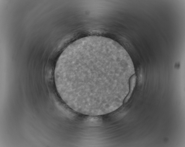 X0000112100619200909151201
