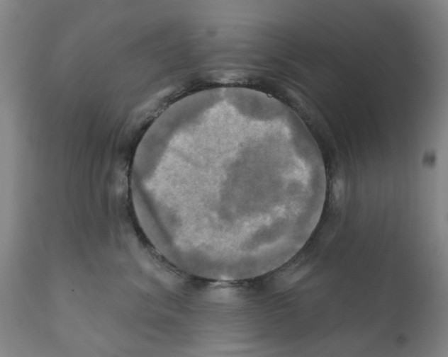 X0000112100620200909151201