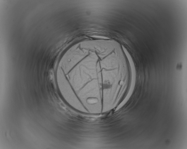 X0000112100621200909151201