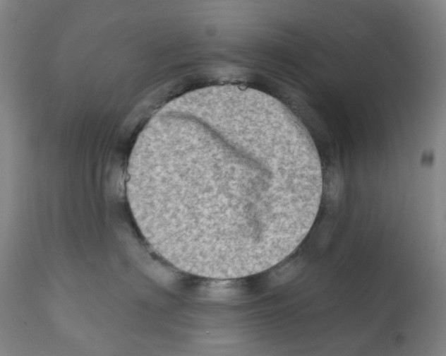 X0000112100622200909151201